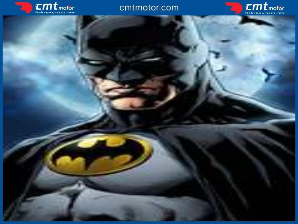 Honda Hornet 600 (2011 - 13) (13)