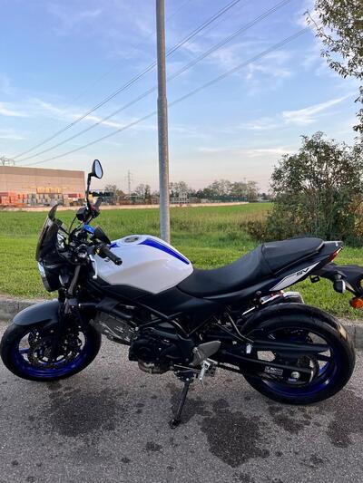 Suzuki SV 650 (2016 - 20) usata