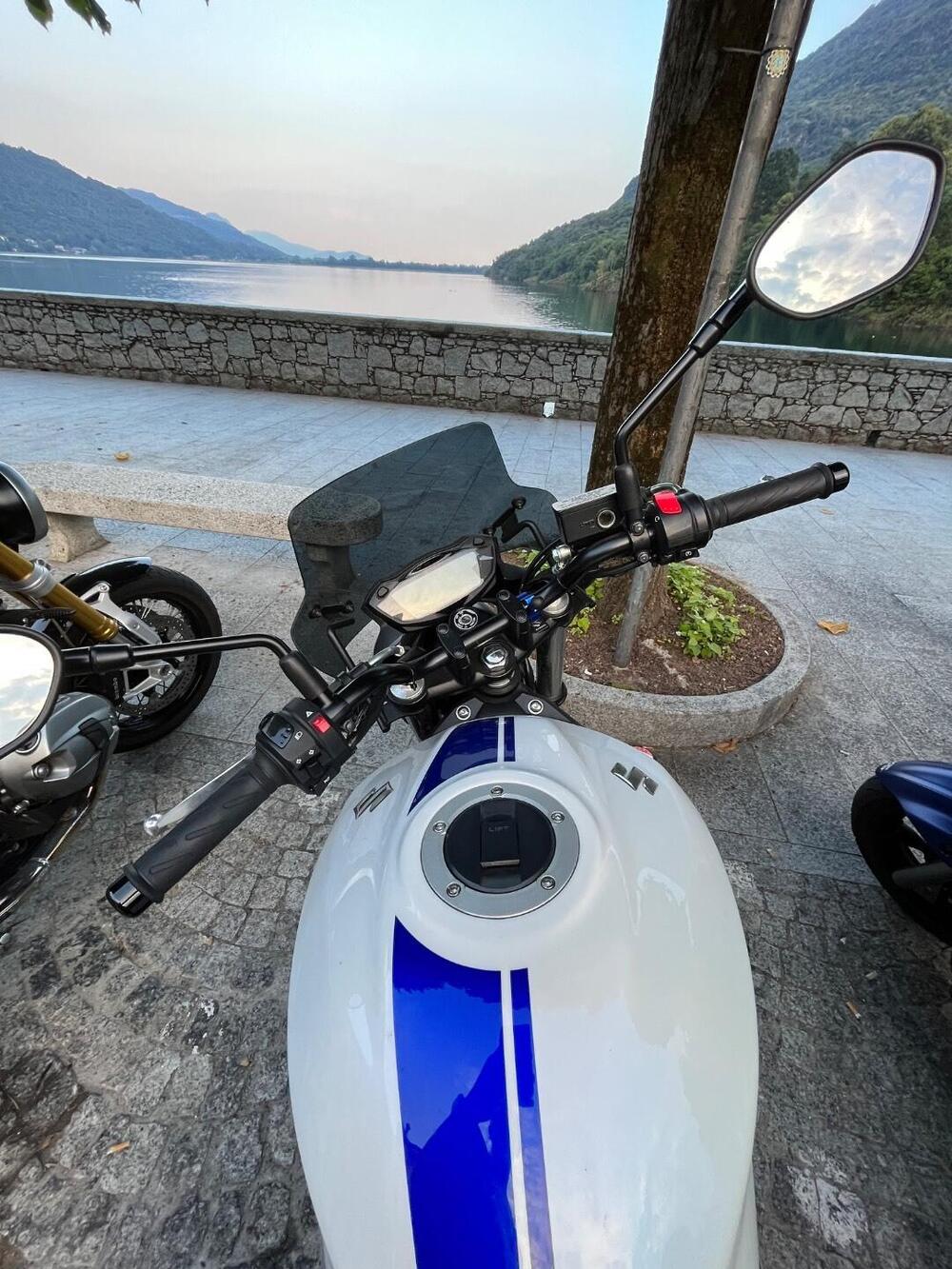 Suzuki SV 650 (2016 - 20) (5)