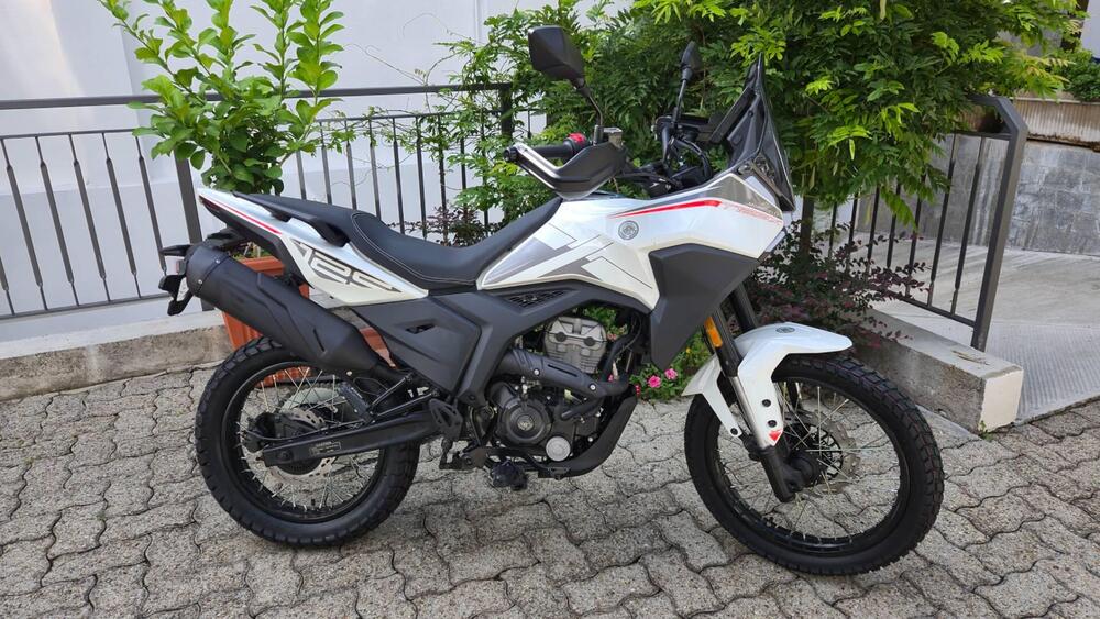 Morbidelli T125X (2025) (6)