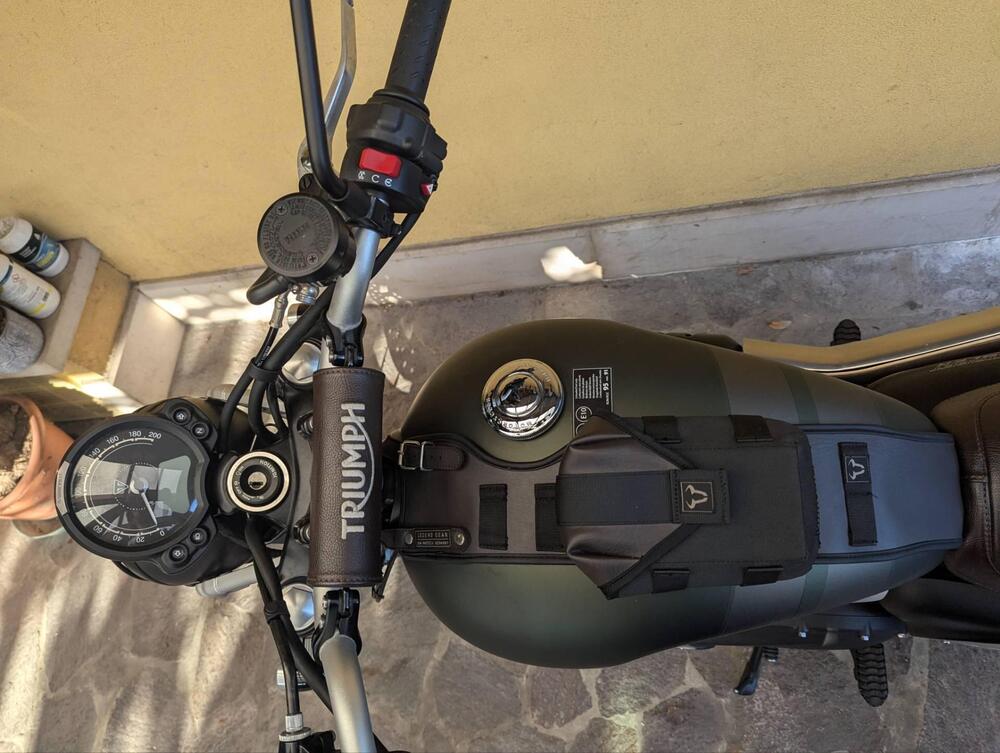 Triumph Street Scrambler 900 (2021 - 22) (10)