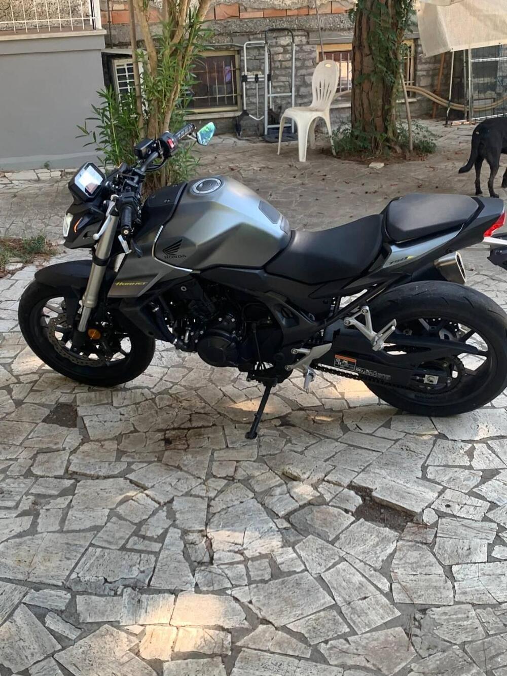 Honda CB 750 Hornet (2023 - 24) (2)