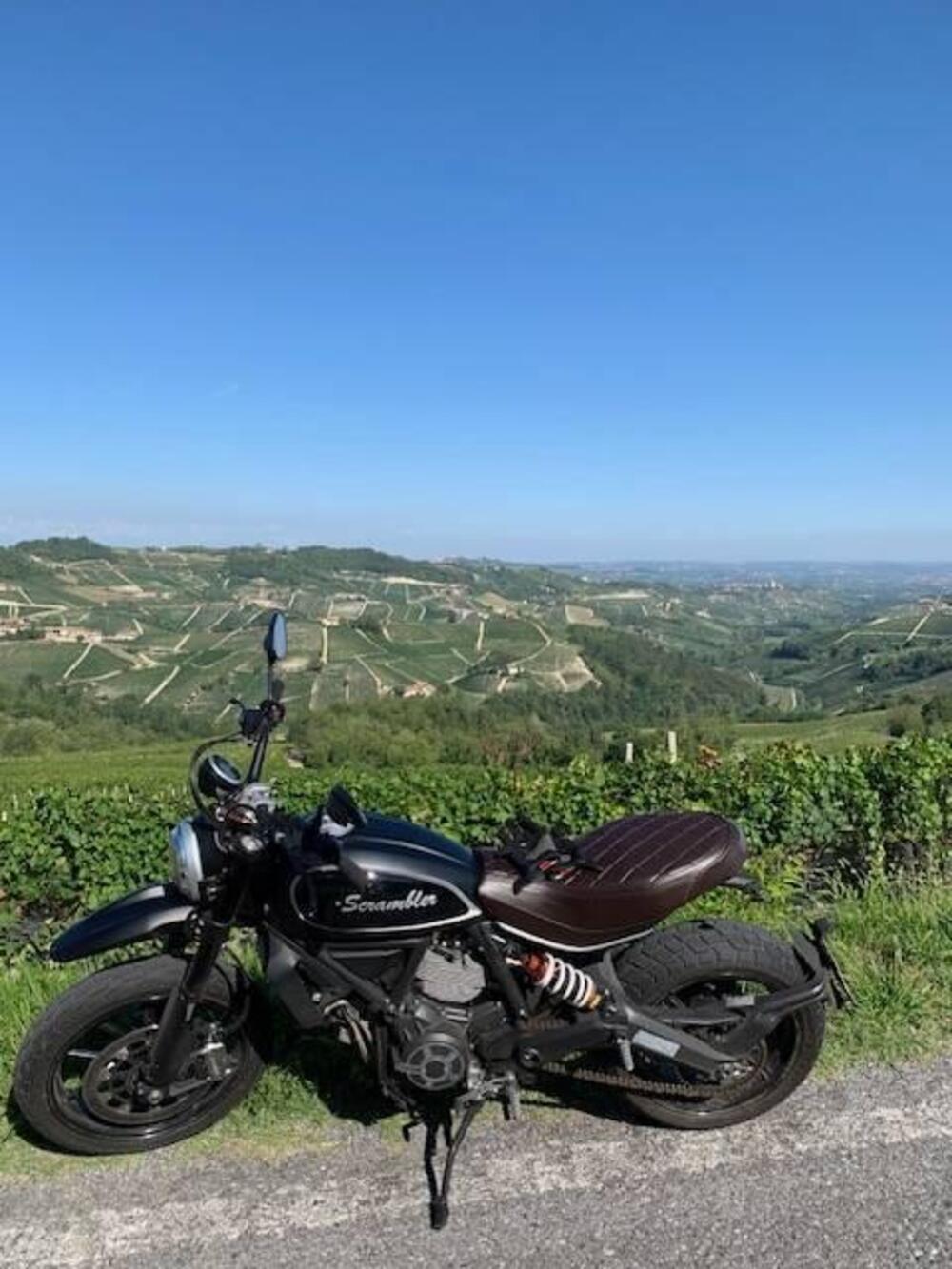 Ducati Scrambler 800 Classic (2015 - 16) (7)