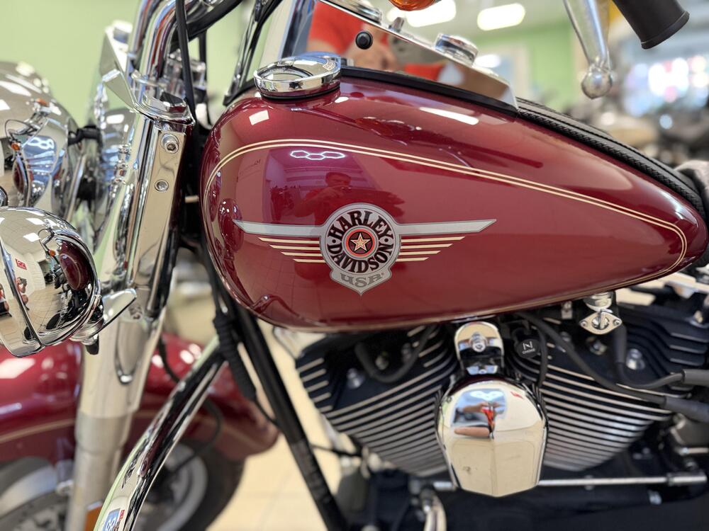 Harley-Davidson 1450 Fat Boy (2003 - 06) - FLSTFI (9)