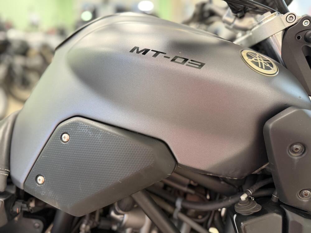 Yamaha MT-03 (2006 - 14) (6)