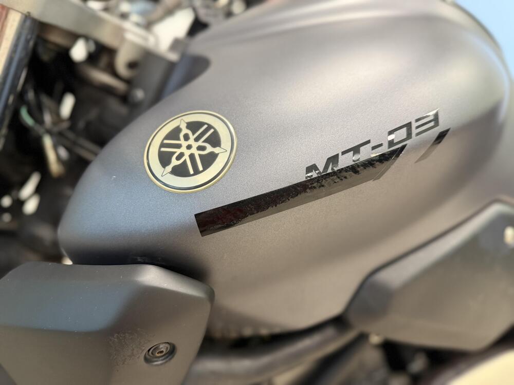 Yamaha MT-03 (2006 - 14) (11)