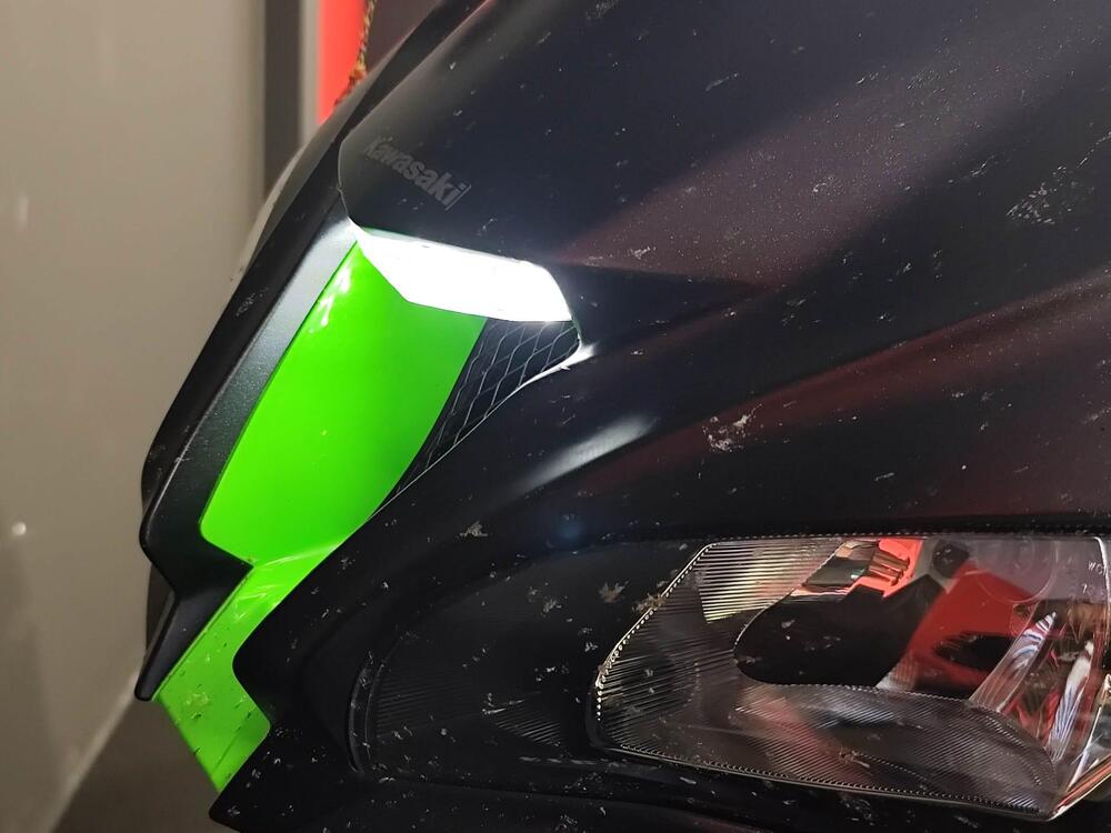 Kawasaki Ninja 1000 ZX-10R SE (2018) (6)