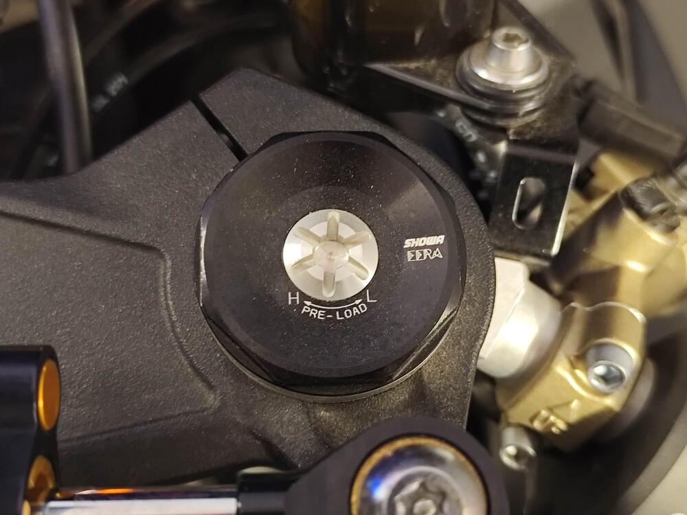 Kawasaki Ninja 1000 ZX-10R SE (2018) (11)