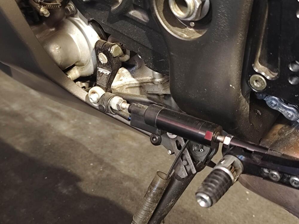 Kawasaki Ninja 1000 ZX-10R SE (2018) (13)