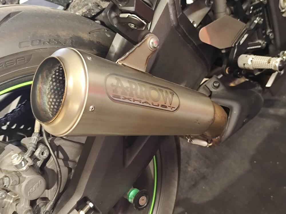 Kawasaki Ninja 1000 ZX-10R SE (2018) (14)