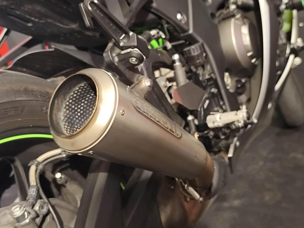 Kawasaki Ninja 1000 ZX-10R SE (2018) (15)