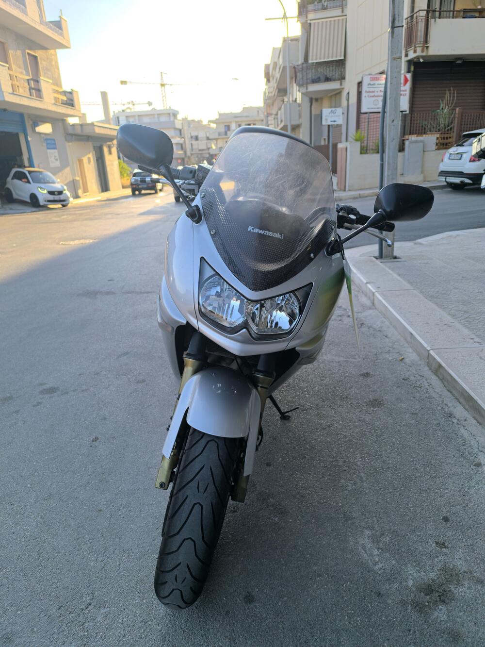 Kawasaki ER-6F (2006 - 08) (2)