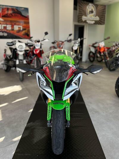 Kawasaki Ninja 1000 ZX-10R (2011 - 15) usata