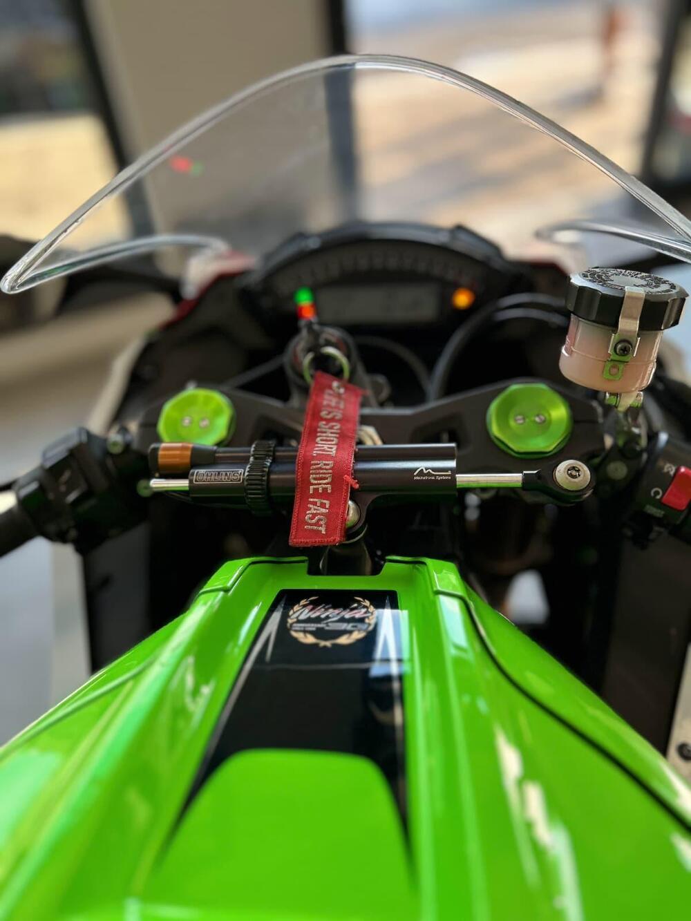 Kawasaki Ninja 1000 ZX-10R (2011 - 15) (8)