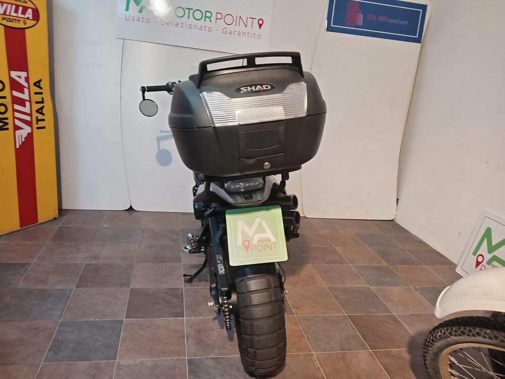 Benelli Leoncino 800 Trail (2022 - 25) (2)