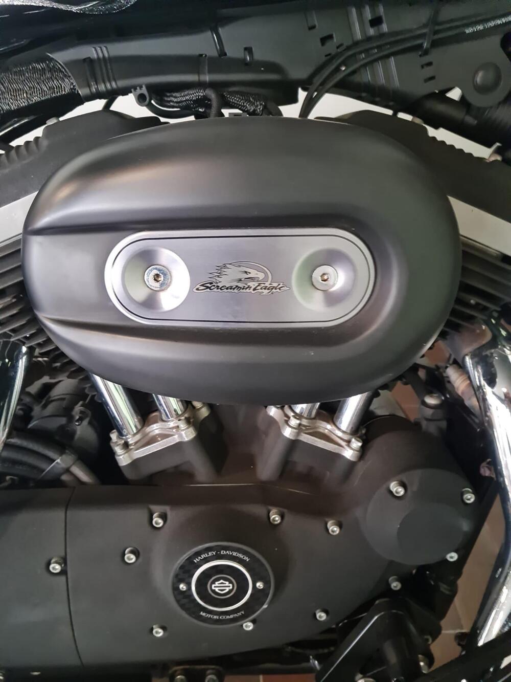 Harley-Davidson 883 (2006 - 07) - XL (6)