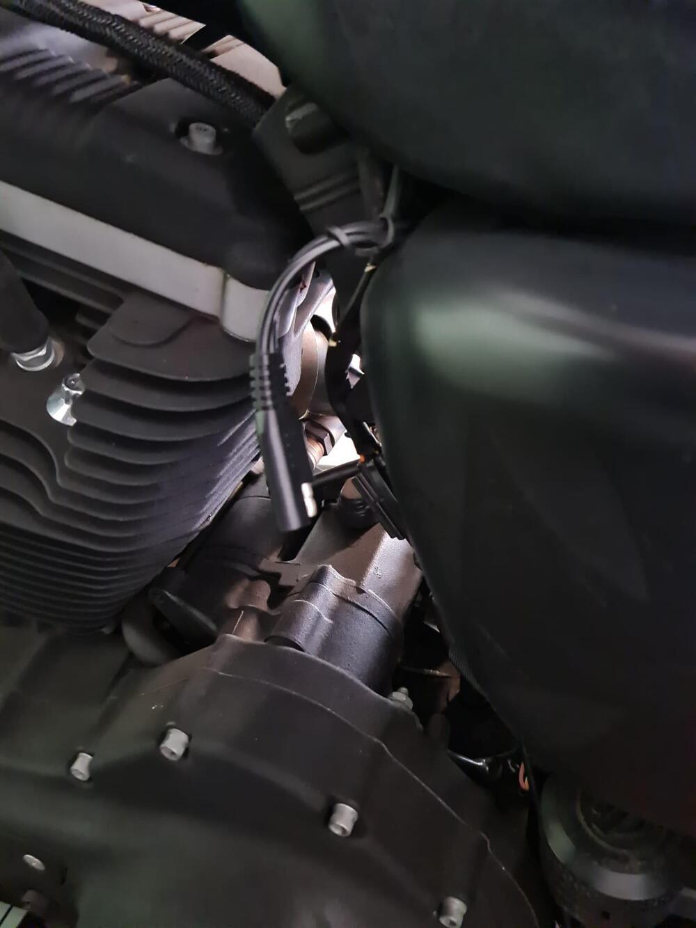 Harley-Davidson 883 (2006 - 07) - XL (8)