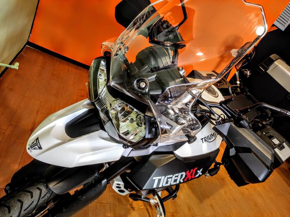 Triumph Tiger 800 XCx (2017 - 18) (9)