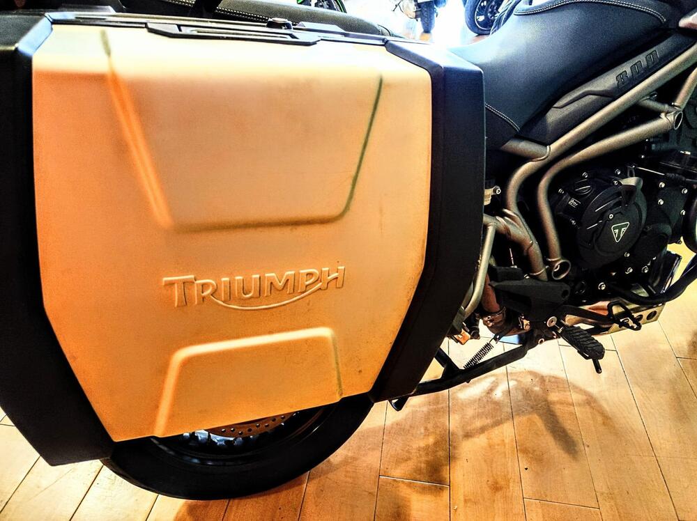 Triumph Tiger 800 XCx (2017 - 18) (11)