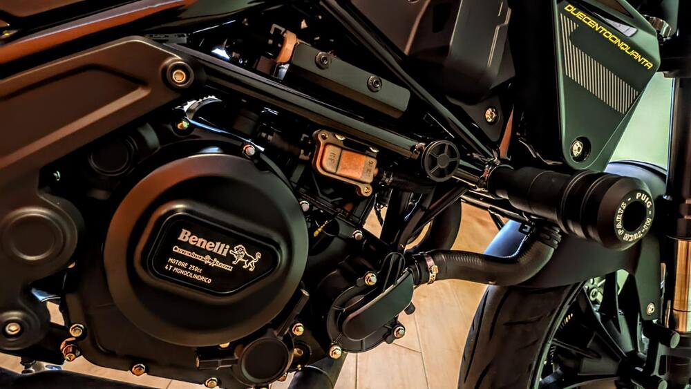 Benelli Leoncino 250 (2021 - 25) (12)