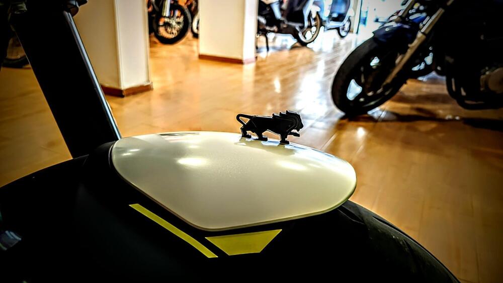 Benelli Leoncino 250 (2021 - 25) (16)