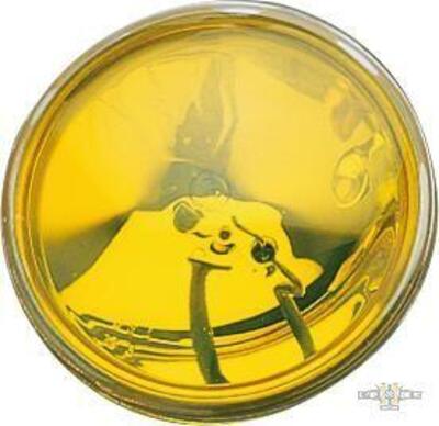 Parabola 4.5" gialla liscia sigillata Motorcycle S 