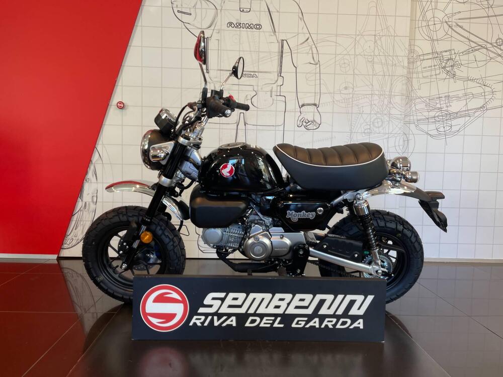 Honda Monkey 125 (2025 - 26) (5)