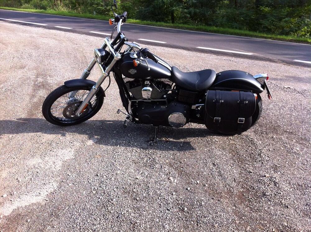 Harley-Davidson 1584 Wide Glide (2007 - 11) - FXDWG (3)