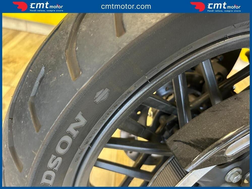 Harley-Davidson 1200 Roadster (2016 - 2017) - XL 1200R (13)