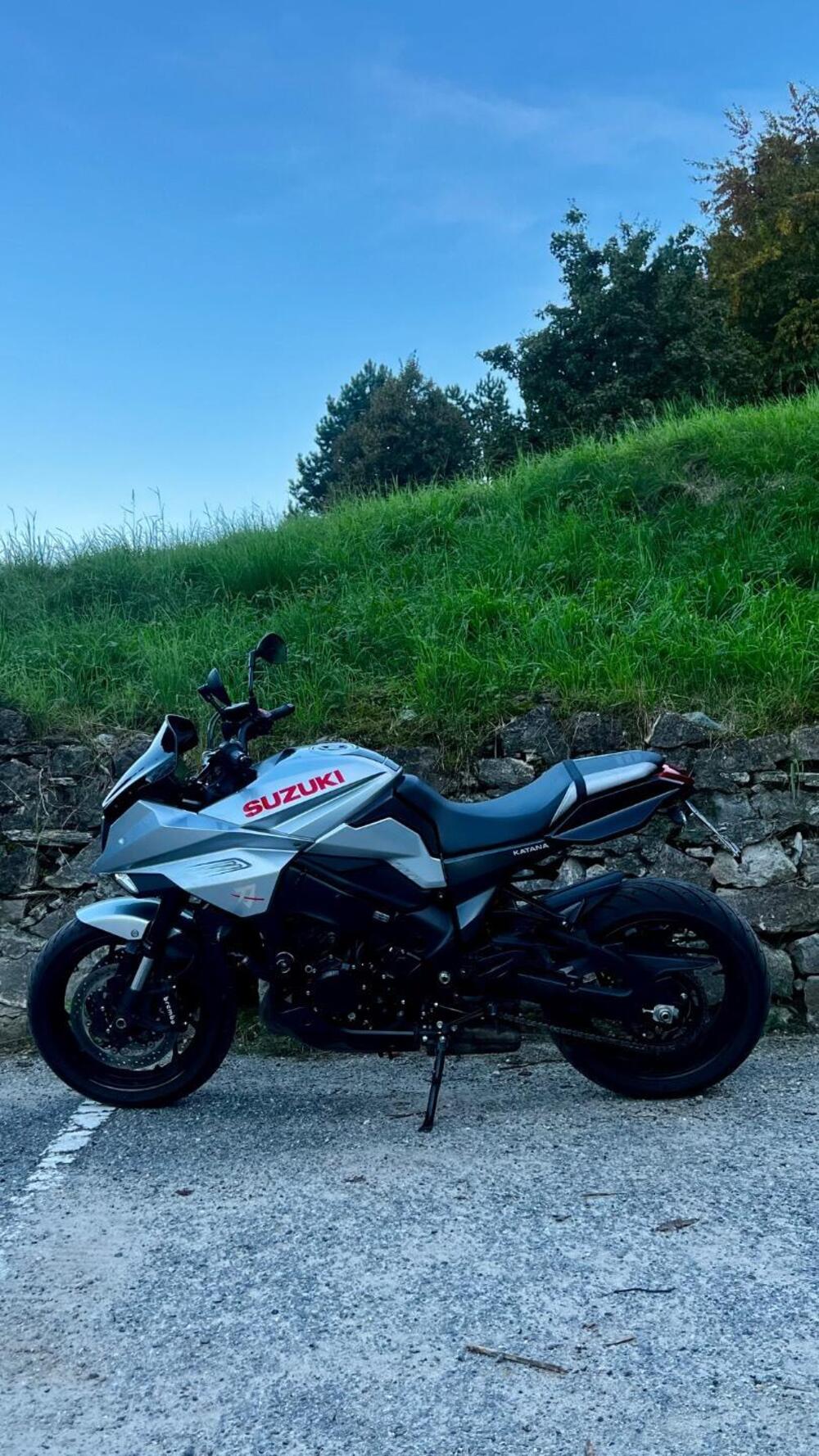 Suzuki Katana 1000 (2019 - 20) (6)