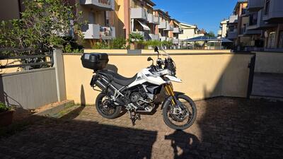Triumph Tiger 900 Rally Pro (2020 - 23) usata