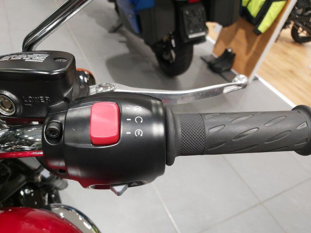 Triumph Bonneville T100 (2021 - 25) (10)