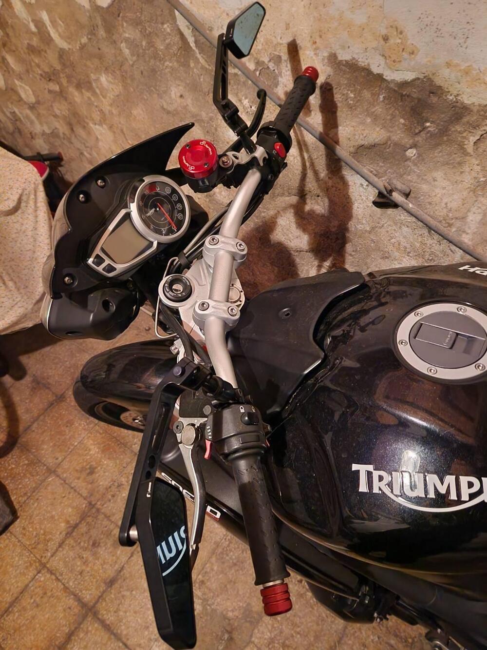 Triumph Speed Triple 1050 (2011 - 13) (3)