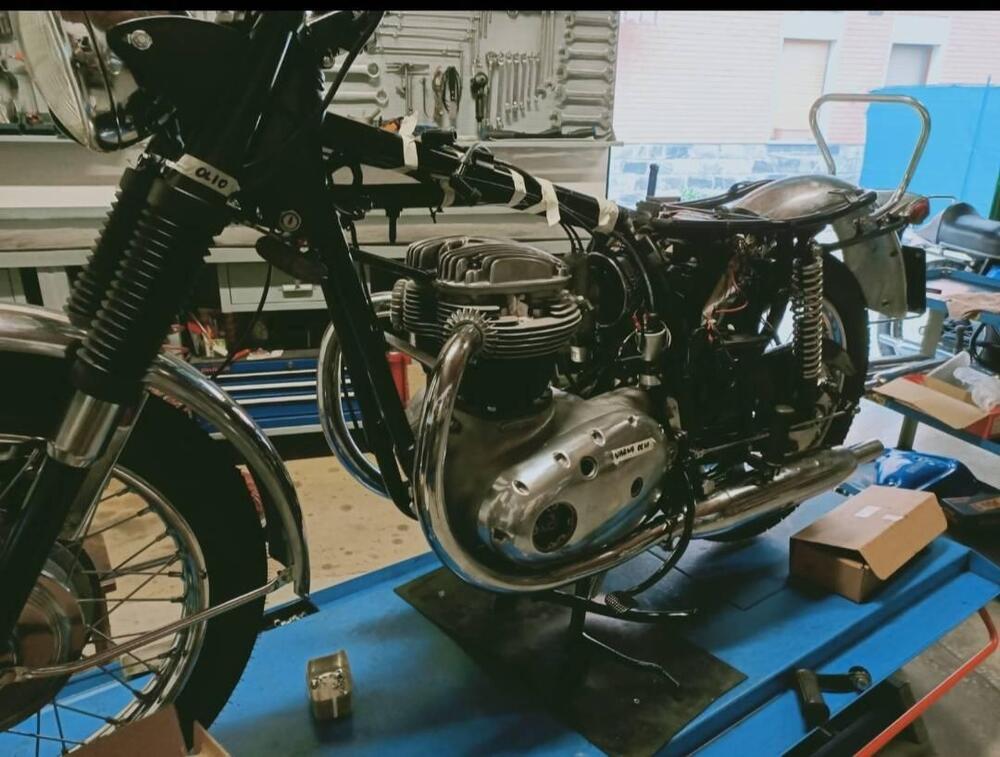 Bsa Thunderbolt (13)