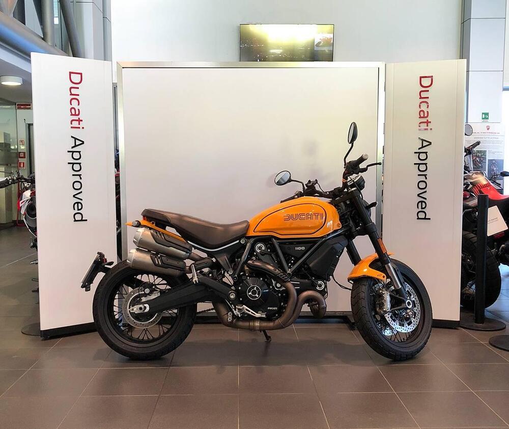 Ducati Scrambler 1100 Tribute Pro (2022 - 24) (3)