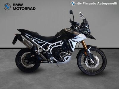 Triumph Tiger 900 Rally Pro (2024 - 25) usata