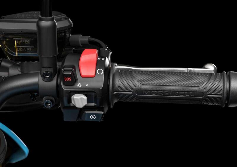 Morbidelli F352 F352 (2026) (13)