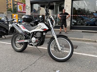 Betamotor Alp 4.0 (2008 - 17) usata