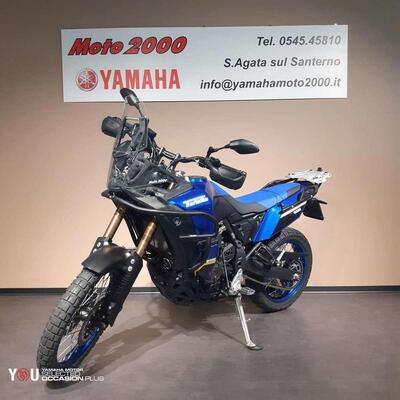 Yamaha T&eacute;n&eacute;r&eacute; 700 World Raid (2022 - 25) usata