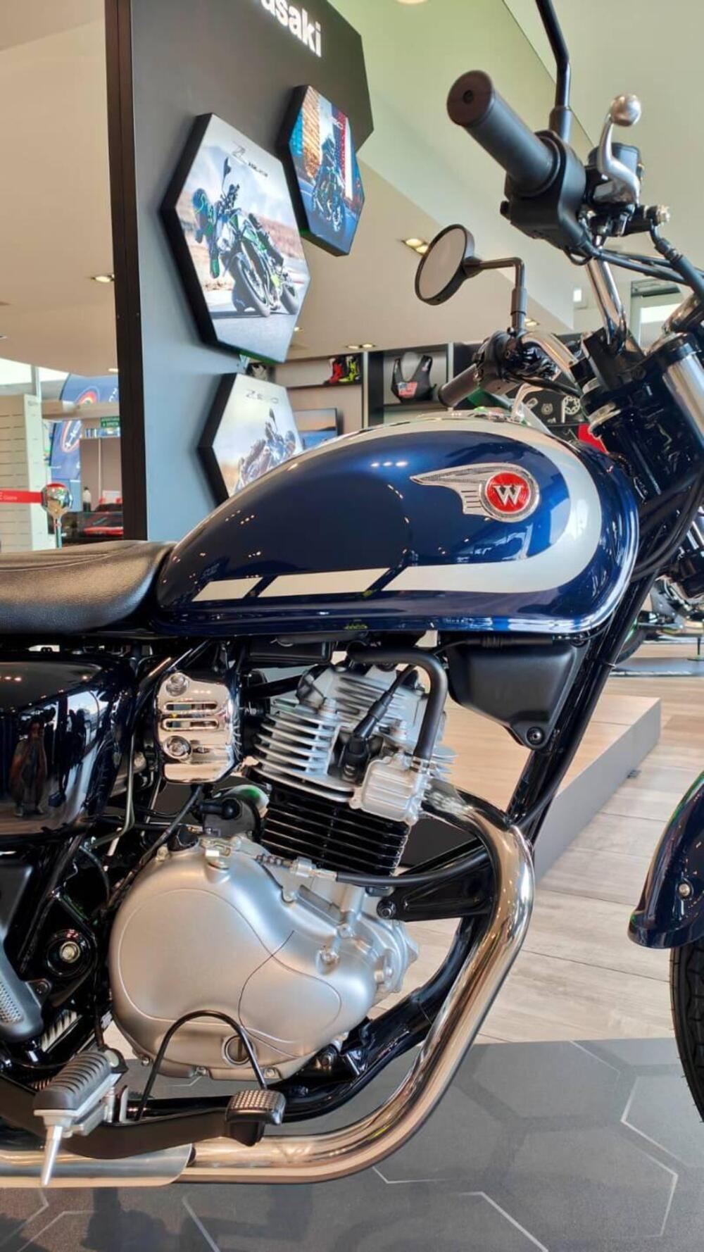 Kawasaki W 230 (2025 - 26) (7)