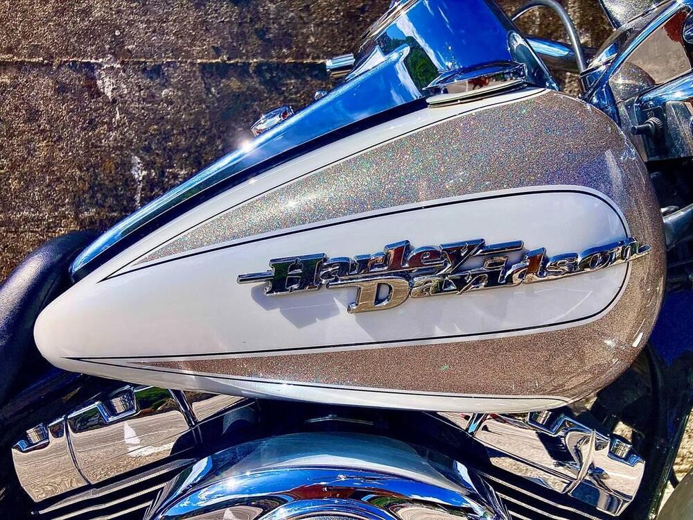 Harley-Davidson 1690 Road King Custom (2007) - FLHRS (15)