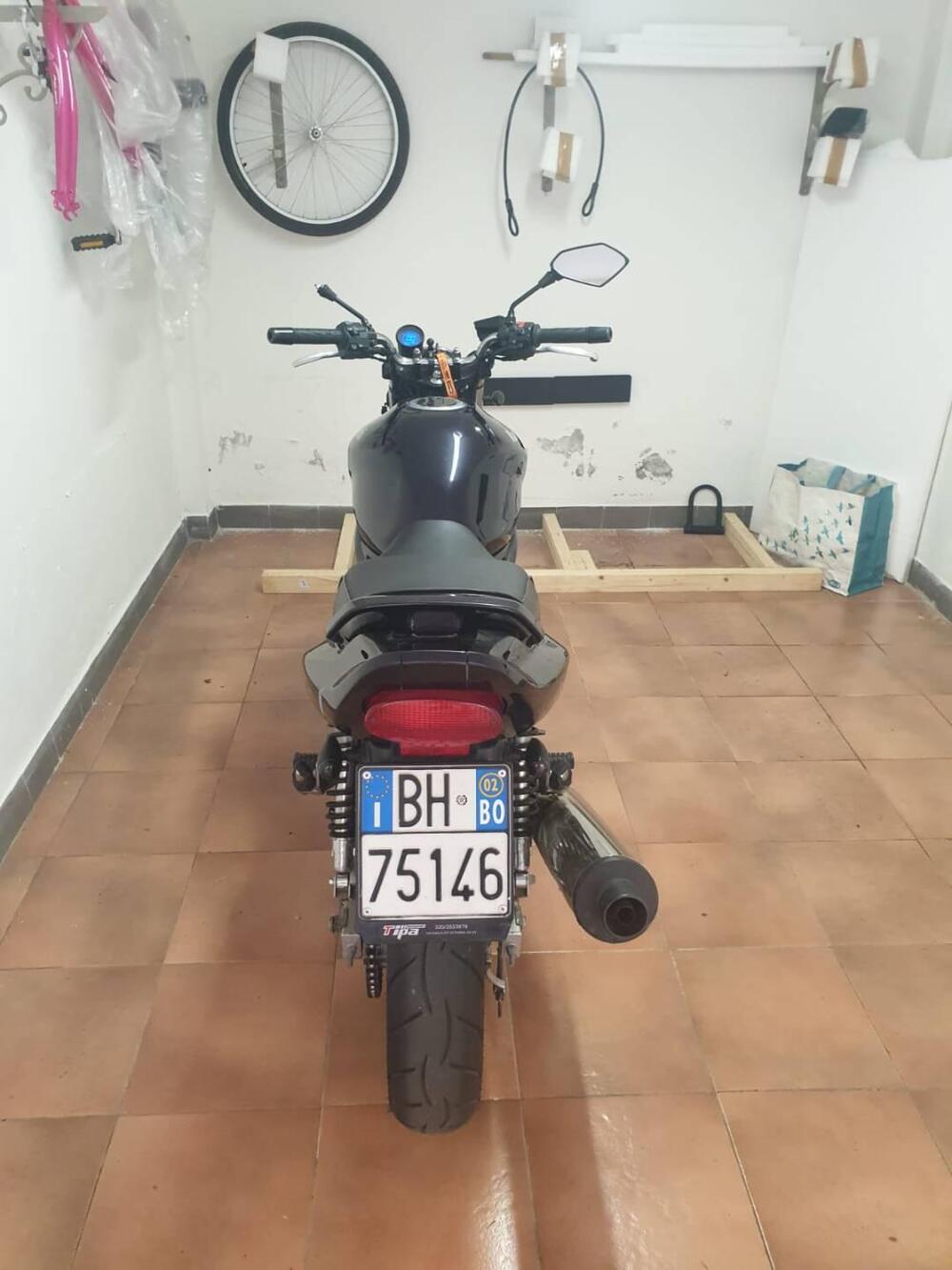 Kawasaki ER-5 500 (2001 - 06) (8)