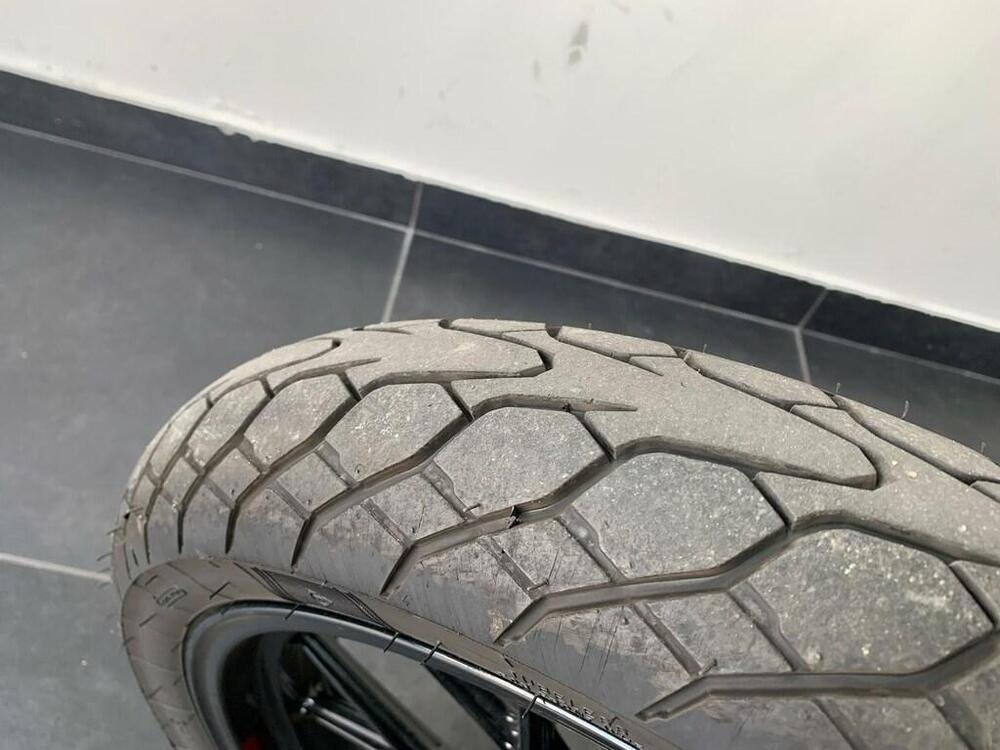 Ducati Scrambler 800 Icon (2023 - 24) (14)