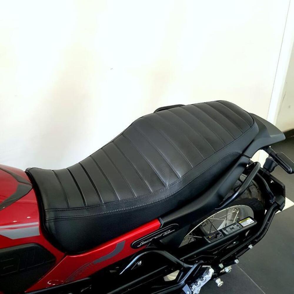 Benelli Leoncino 500 Trail (2021 - 26) (12)