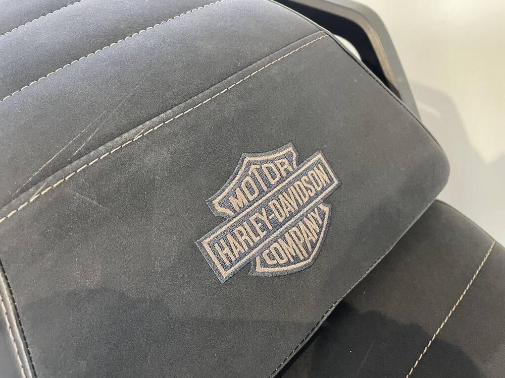 Harley-Davidson Pan America 1250 Special (2020 - 25) (8)