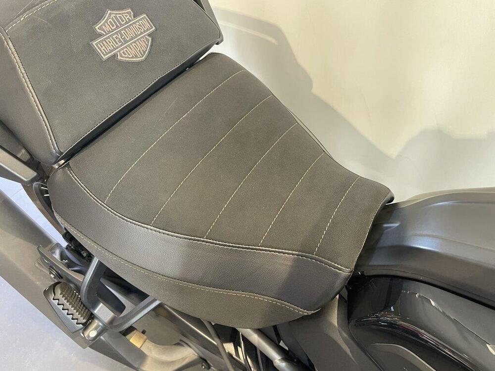 Harley-Davidson Pan America 1250 Special (2020 - 25) (9)