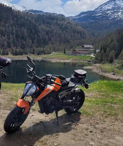 KTM 790 Duke (2018 - 20) usata