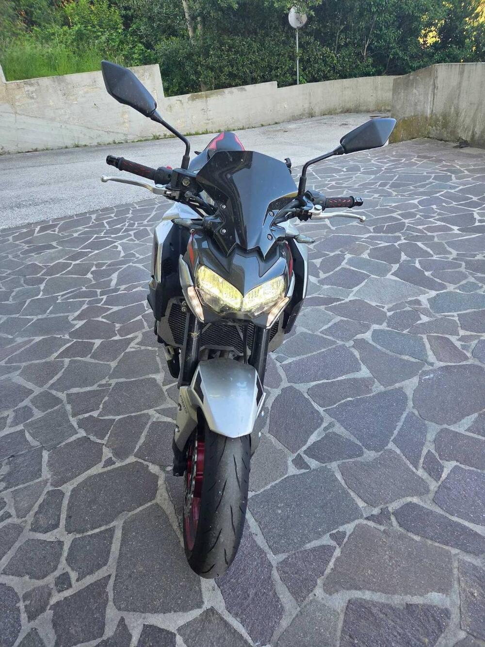 Kawasaki Z 900 (2021 - 24) (2)