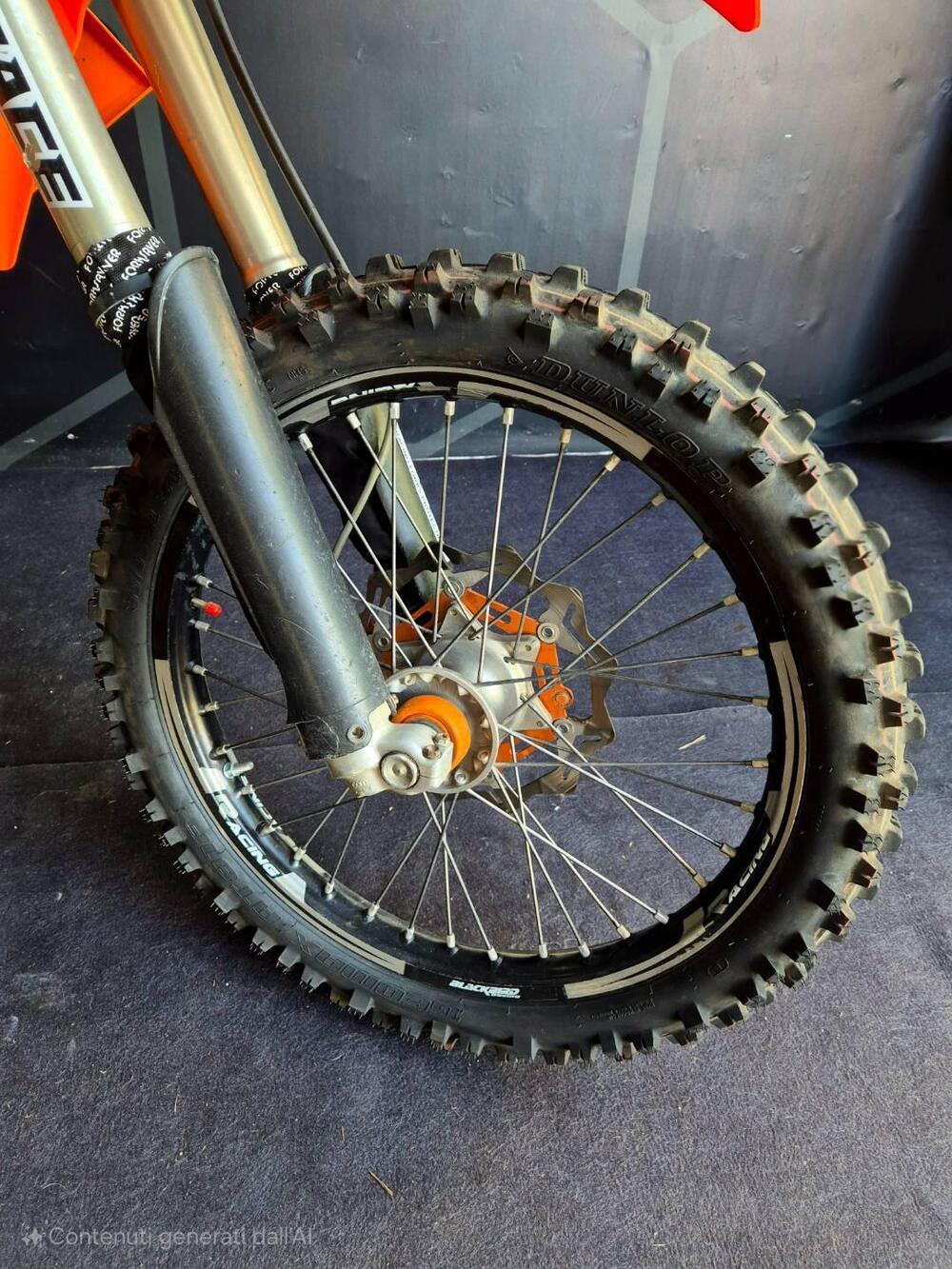 KTM 300 EXC (2006) (7)