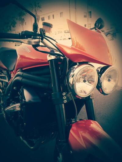 Triumph Speed Triple 1050 (2005 - 11) usata